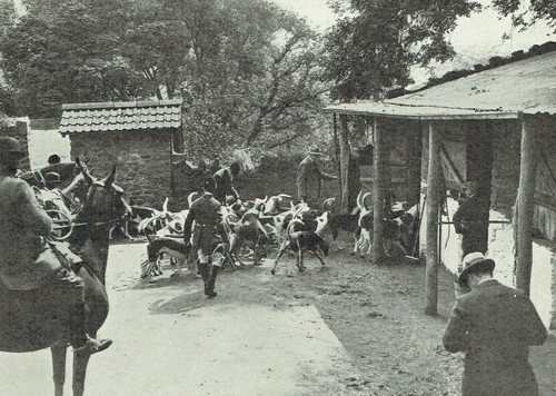 Devon somerset staghounds - devon,