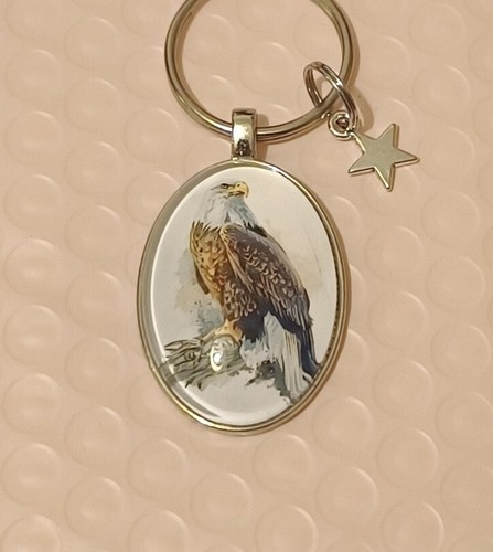 Super little bird prey - super,