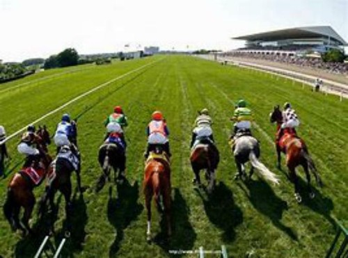 Power bet horse racing - power,
