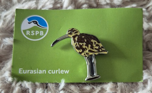 Rspb bird pin - bird,