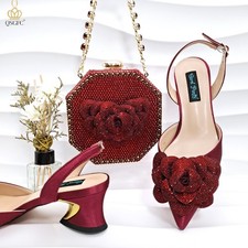 women shoe & bag set elegant