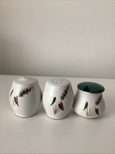 Denby Greenwheat Cruet Set