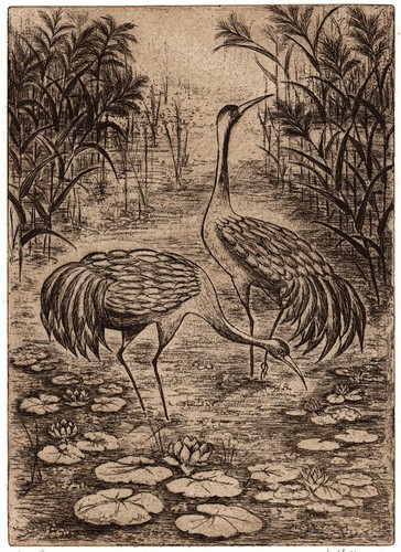 Josephine hallam signed - r,