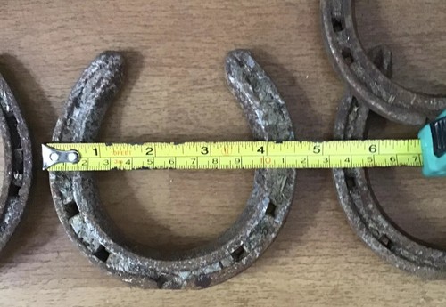 Tiny horseshoe small pony - horseshoe,