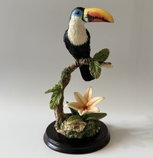 The Leonardo Collection Toucan