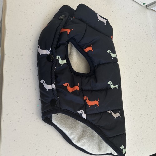 Dachshund puppy jacket - dachshund, would