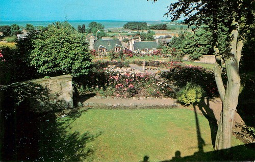 Tain rose gardens postcard - tain,