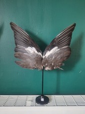 Taxidermy Pidgeon Wings