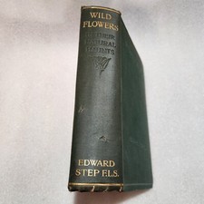 Antique- Wild Flowers in Their