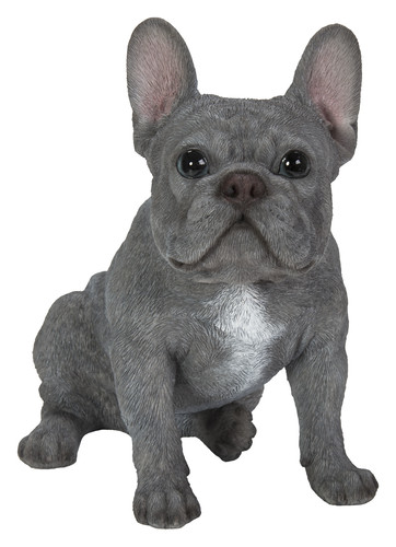 Vivid arts dogs new - arts, size