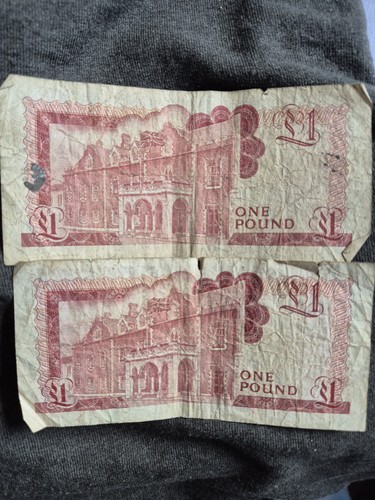 Gibraltar pound note - pound,