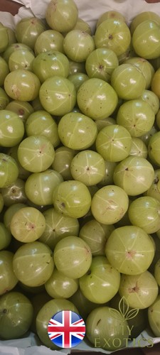 1kg fresh amla - 1kg,