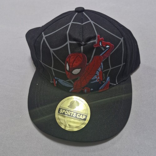 Embroidered spiderman flat - flat, cap