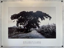 Rivière  Citron by Bob Carlos