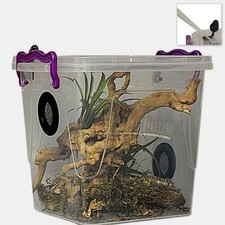 Praying Mantis,Stick