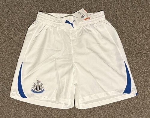 Newcastle united 2010 - united, 2010/11
