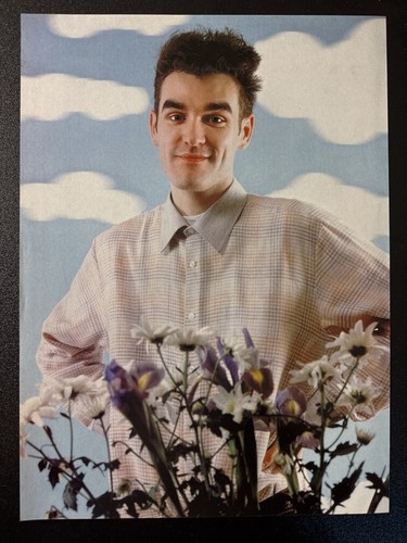 Morrissey smiths mini - morrissey,