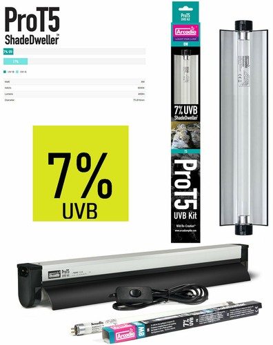 Arcadia shadedweller prot5 - arcadia,