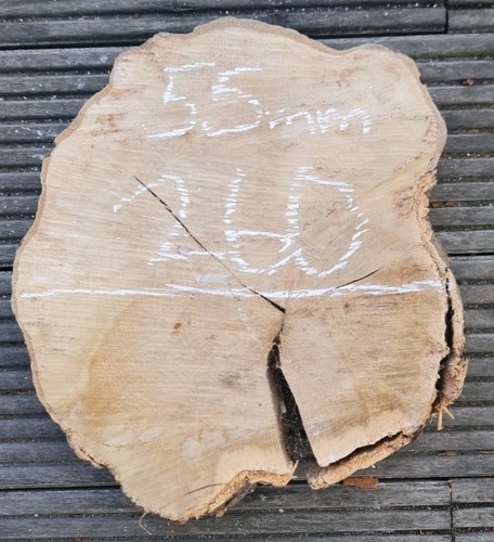 Old hornbeam burr burl cookie - hornbeam,