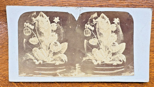 Antique stereoview stereograph - antique,