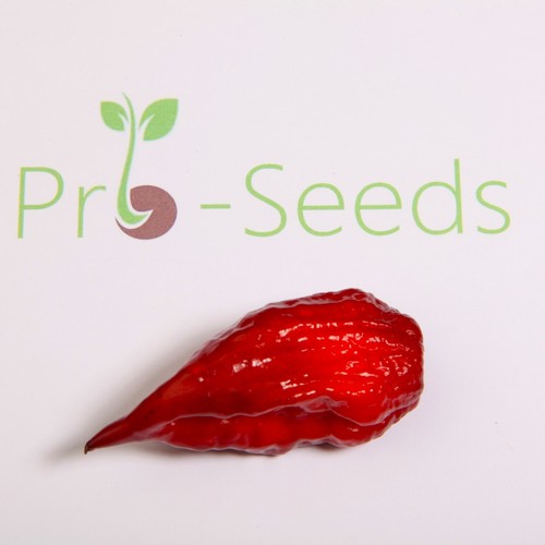 Super hot chilli seed mix - hot,