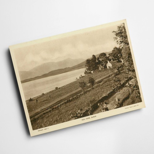 Print vintage scotland - vintage,