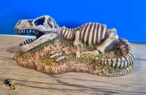 Aquarium ornament dinosaur - aquarium,