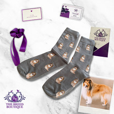 ROUGH COLLIE SHELTIE SOCKS