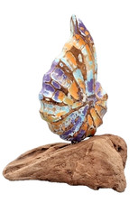 Shell Carving on Driftwood -