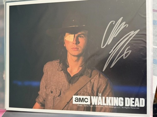 The walking dead - the, signed
