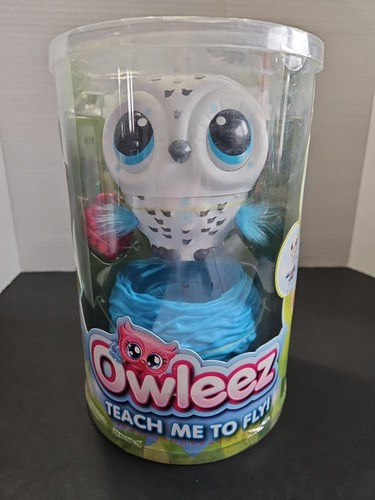 Owleez teach how - me, fly
