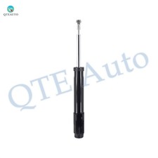 Front Suspension Strut