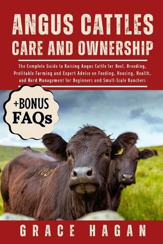 Angus cattles care - angus,