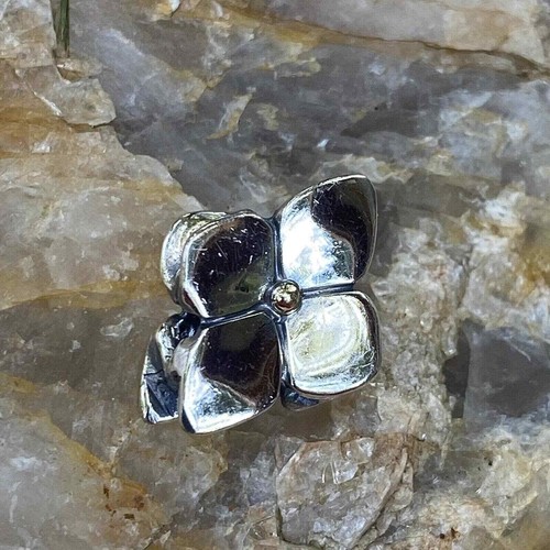 New trollbeads climbing - new,