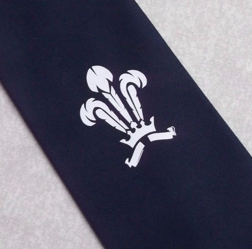 Tie mens necktie - tie,