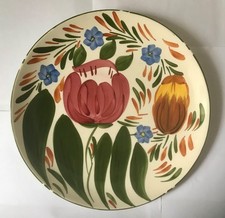Vintage Hand Painted Royal Victoria Wade Floral Wall Hanging Plate