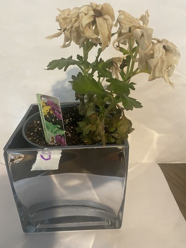 Silver mirror heavy square - silver,