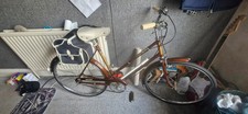 ladies raleigh palm beach bike