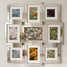 9-Multi Aperture Mirrored