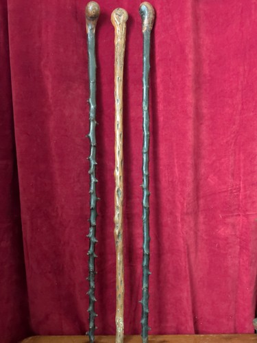 Lot three walkiing sticks - lot,