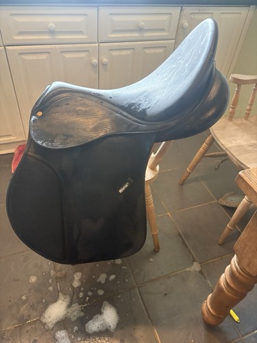 Wintec saddle - wintec,