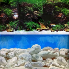 Aquarium Background