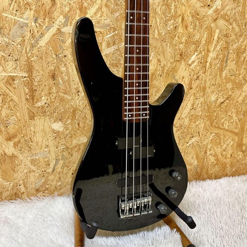Electric bass guitar - bass,