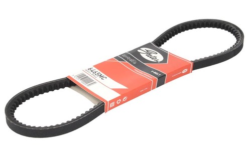 Gat belt fits alfa romeo - -,
