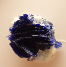 Azurite Crystals Rosette Clara Mine Oberwolfach Germany Mineral Specimen