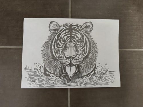 Original hand drawn tiger - hand-drawn,
