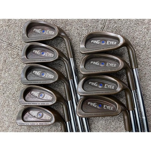 Ping eye2 blue - eye2+,