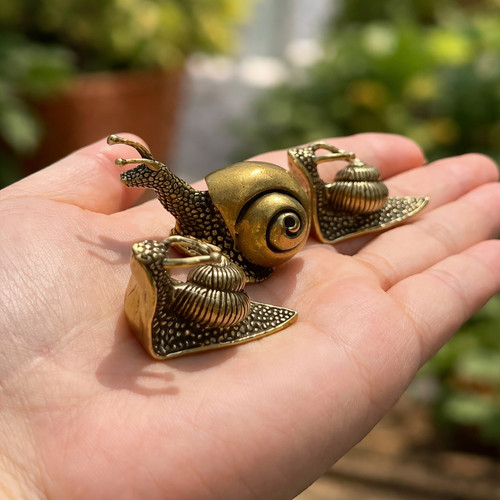 Set brass snail - set,
