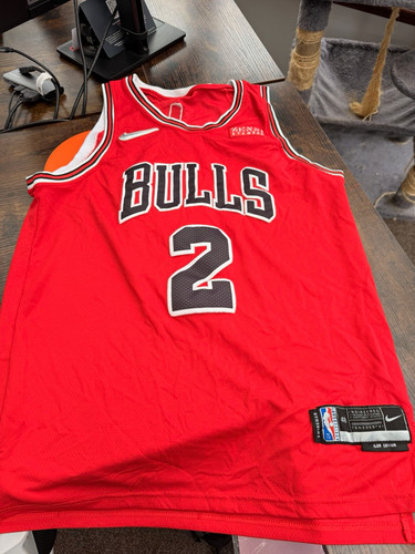 Nike chicago bulls - bulls, ball