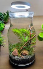 Self Sustaining Ecosphere